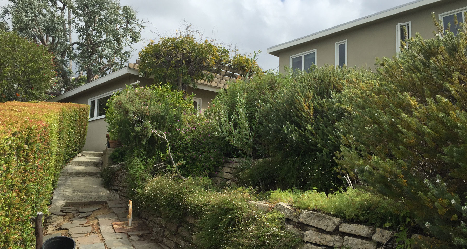 Before picture of back yard renovation in Pacific Palisades