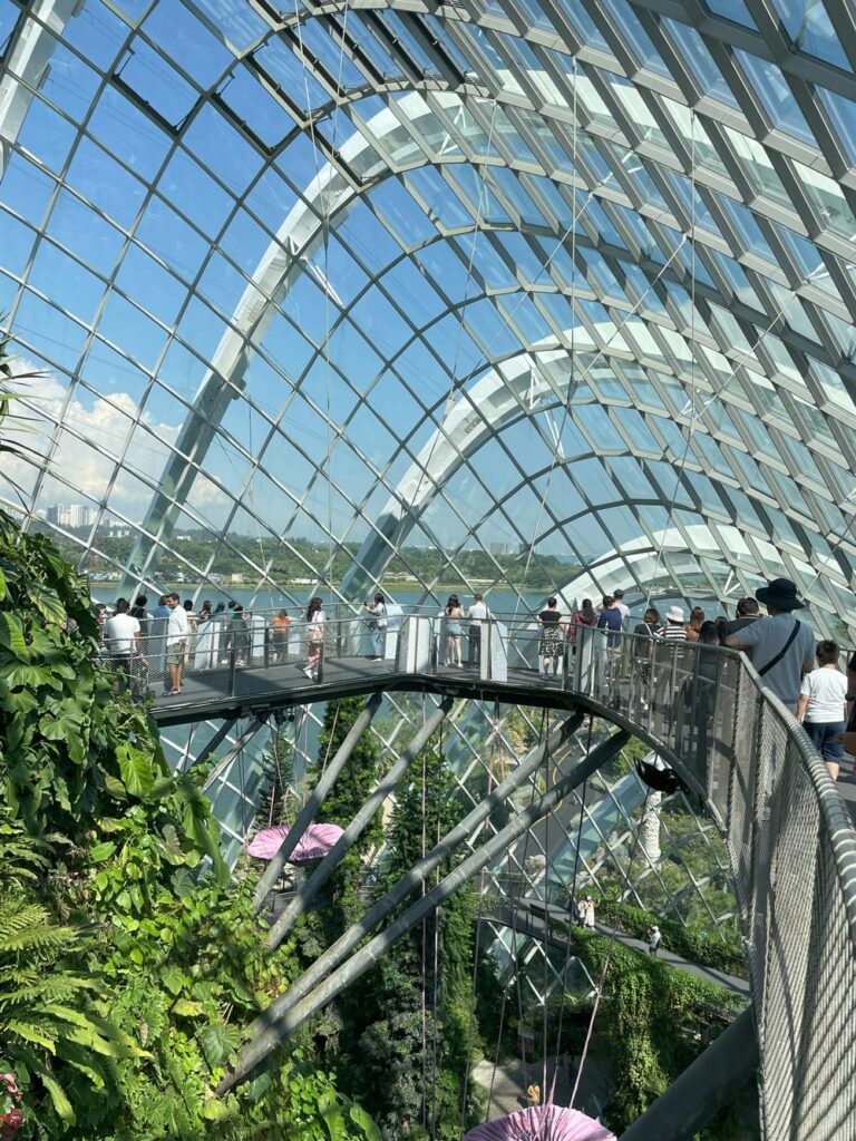 Elevated catwalk of The Jewel in Singapore airport