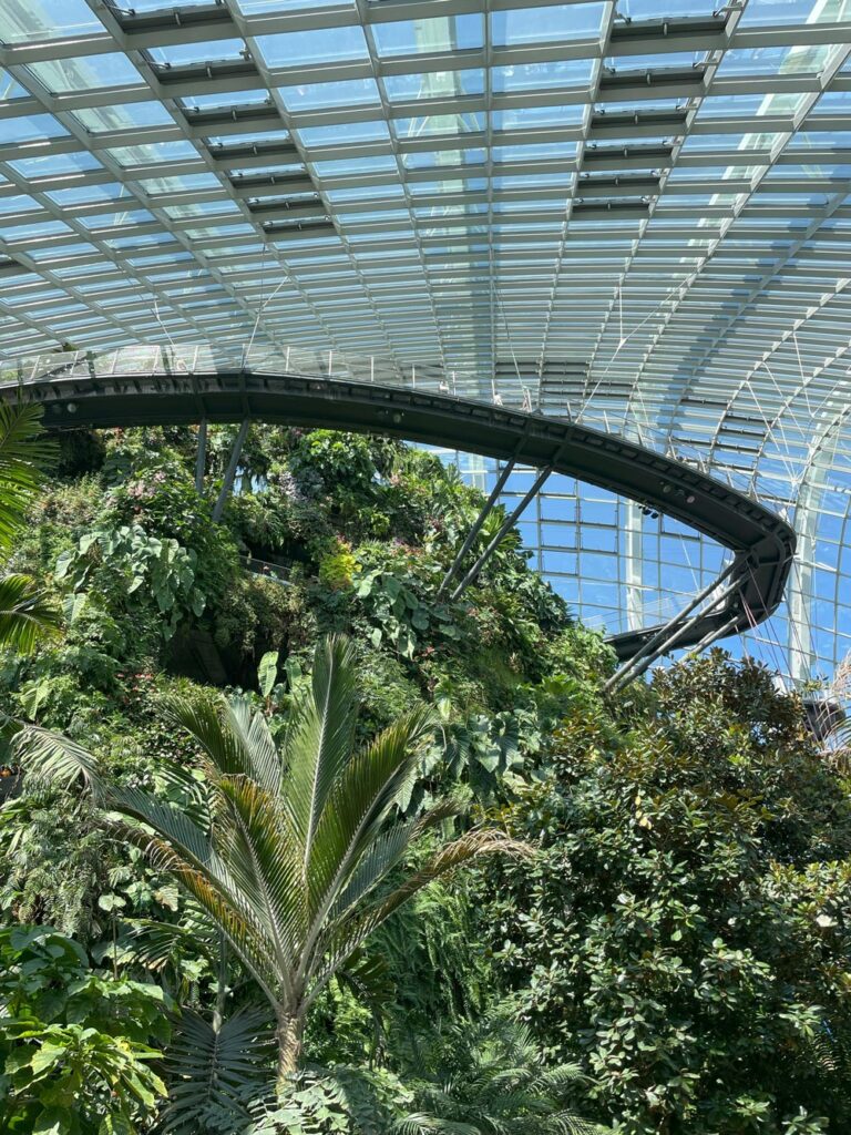 Elevated catwalk of The Jewel in Singapore airport with vegetation wall